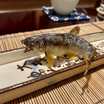 奈良 而今 - ヒレが綺麗やね