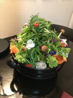 Tsukito Suppon - フラワー鍋