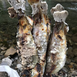 秋川国際マス釣場 - マス塩焼き。