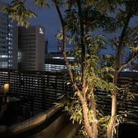 ゼックスウエスト ザ バー - 