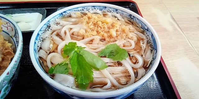 ふなと 森林公園 うどん 食べログ