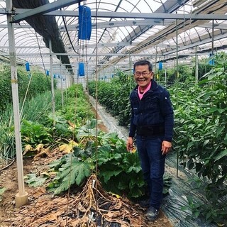 産地直送の京野菜を使用した創作料理をカジュアルに楽しむ！