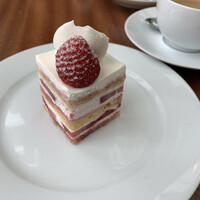 フィオレンティーナ - 