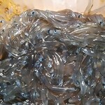 すかなごっそ - 溶けてない‼️