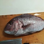 すかなごっそ - オマケ　スーパーで９８０円で購入した真鯛✨