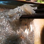 すかなごっそ - これぞ生しらす✨✨