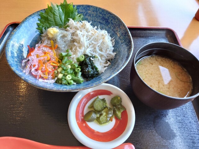 鎌倉 仕立屋 小町通り 鎌倉 居酒屋 食べログ