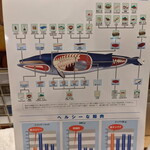 鯨の胃袋 - この辺り見てヨダレ出てくる強者になりたい☆