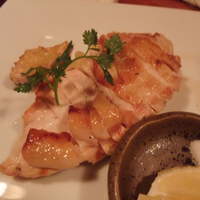 豊和 表参道 - 比内鶏の炙り焼き