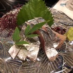 郷土料理たまひろ - アジの刺身