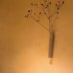 すが弥 - 壁の吾木香。何も足さない。何も引かない。簡素なまでの美しさ