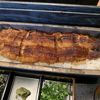 うなぎ四代目菊川 ムスブ田町店 - 