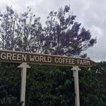 Green World Coffee Farm - 