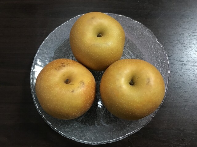 杉山梨園 - 南鳥海（その他）の写真