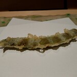 にい留 - アキシマササゲ