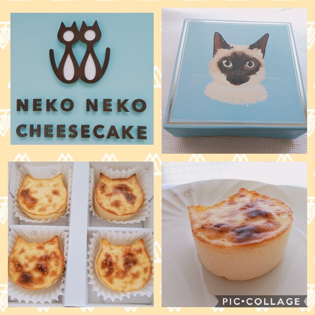 ねこねこチーズケーキ 自由が丘店 Neko Neko Cheesecake 自由が丘 ケーキ 食べログ