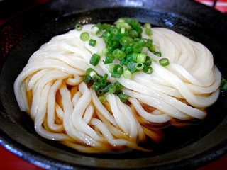 山下本気うどん - ぶっかけうどん（480円）