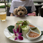 エムエム タイ - 