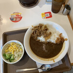 Sukiya - 横濱カレー（欧風牛カレー）並盛５辛、サラダ