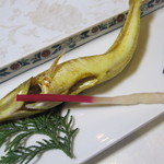 はつしろ - カレー風味のキス、普通の塩焼きの方が好きです(2011/11)