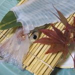 はつしろ - 活き烏賊、一人一杯(2011/11)