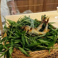 日本料理 久丹 - 早川の鮎