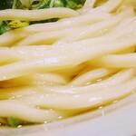 Udon Oyobe - 