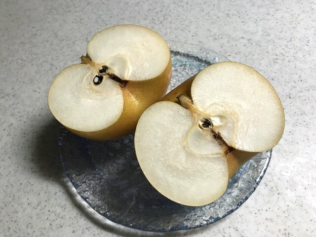 杉山梨園 - 南鳥海（その他）の写真