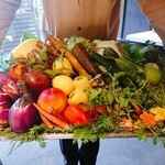 レフェルヴェソンス - 