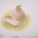 レフェルヴェソンス - 