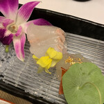 仙郷樓 奥の樹々 - 