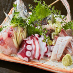 くらら - 毎日日替わりのお刺身盛り合わせ、豊洲市場から鮮魚を仕入れています。