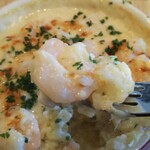 ボーノ - エビ で～す