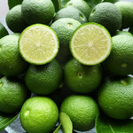 焼き鳥・水炊き たから - 宮崎県日向市成合農園直送　へべす