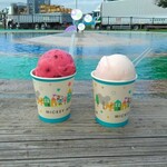 さくら亭 - 購入したジェラートカップ、隣の公園噴水で頂きました