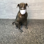 六花亭 五稜郭店 - 