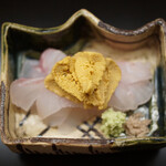 道人 - あこう　由良の雲丹