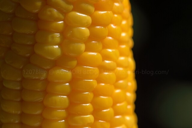 崎野農園 とうもろこし直売所 - 弘前市その他（その他）の写真