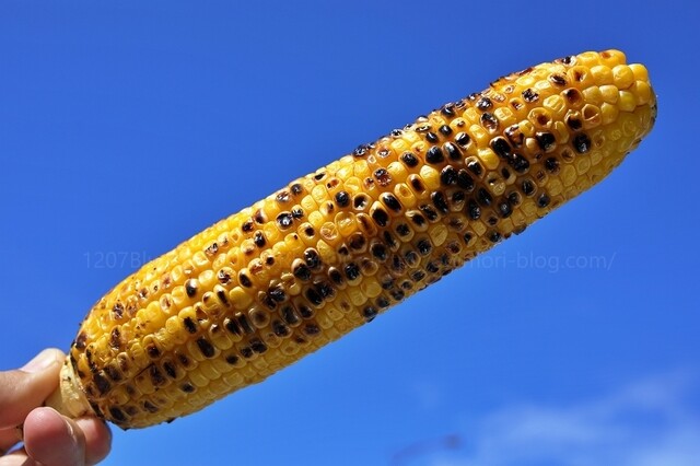 崎野農園 とうもろこし直売所 - 弘前市その他（その他）の写真