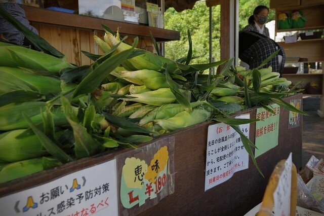 崎野農園 とうもろこし直売所 - 弘前市その他（その他）の写真
