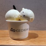 HiO ICE CREAM Atelier 自由が丘 - 美瑛シングルオリジン＋チョコレートミント＋パンプキンミルク