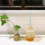 ノーティープラスカフェ - 自家製レモンソーダ