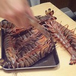 くろぎ - 大きな活車海老