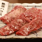 旨味熟成肉専門 焼肉 ふじ山 - 