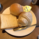 プリムローズ - 