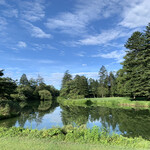 プリムローズ - 