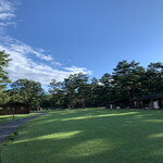 プリムローズ - 