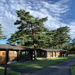 プリムローズ - 