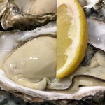 [3rd place] Extra large rock Oyster /raw Oyster