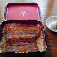 明神下 神田川 本店 - 年代物の朱塗りの重に入れられた「うな重」
